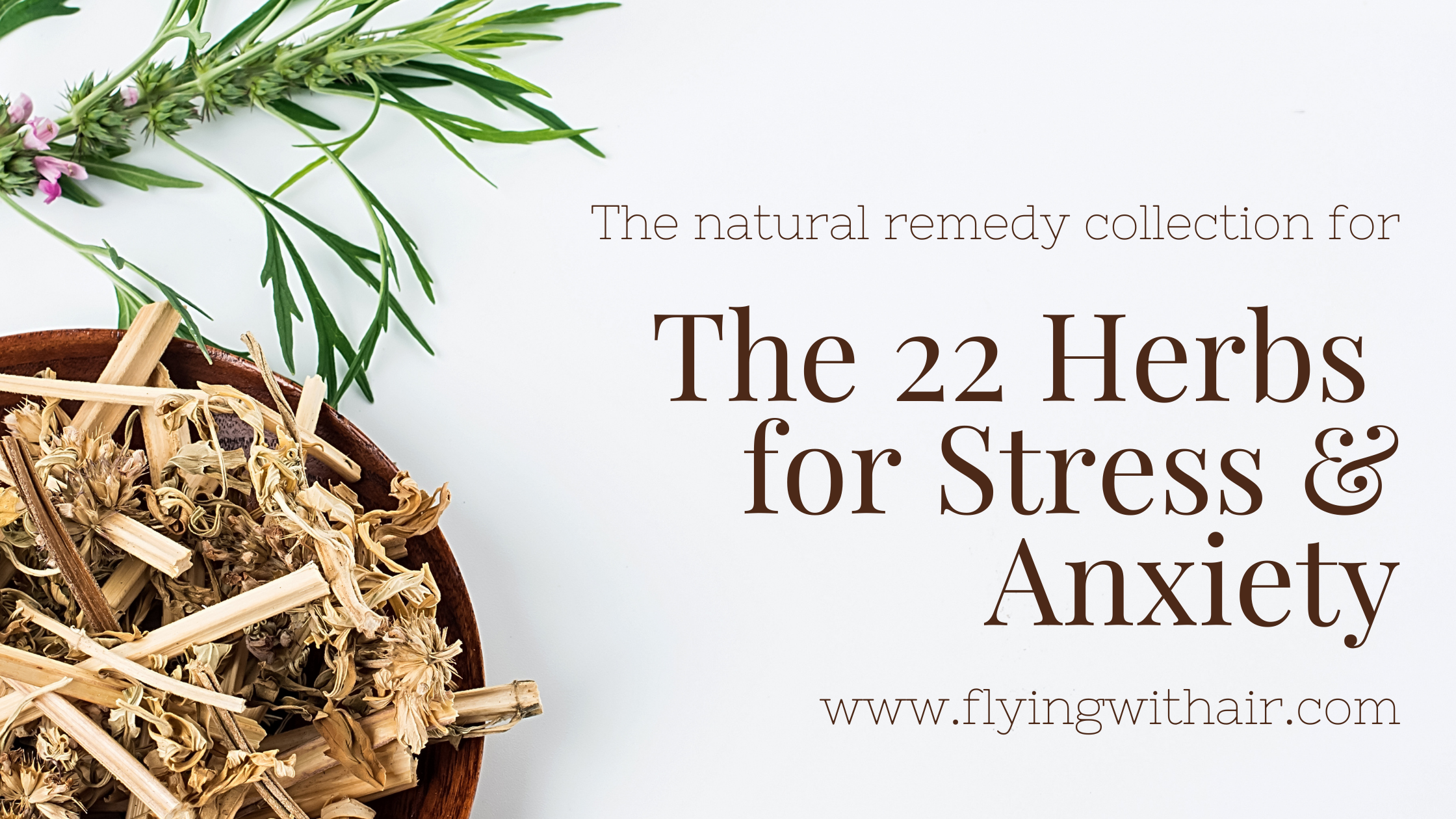 22 Herb Natural Remedies for Situational Anxiety | Stage Fright, Heartbreak & Grief