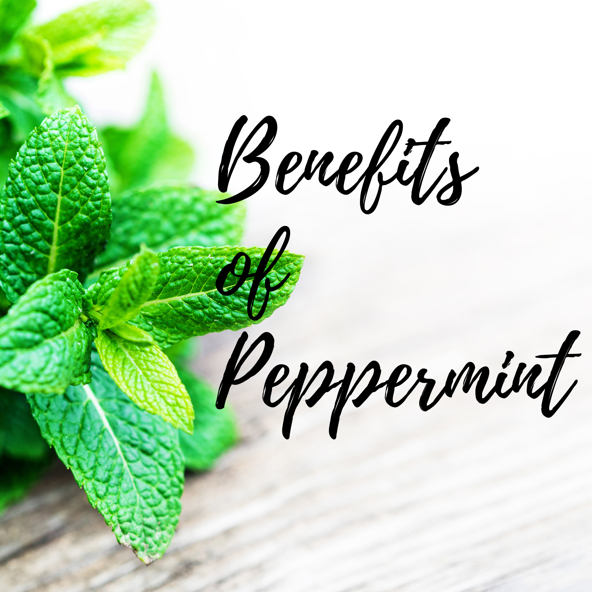 Benefits and uses of Peppermint