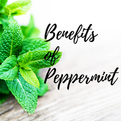 Benefits and uses of Peppermint