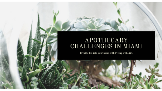 Overcoming Obstacles with Apothecary in Miami, Florida