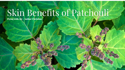 Skin Benefits of Patchouli - Everything you need to know about Patchouli