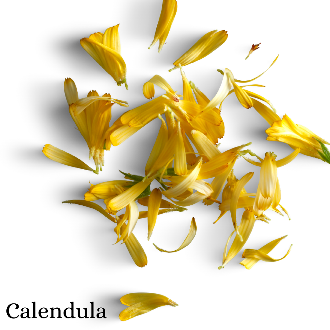 Calendula Dried Flower
