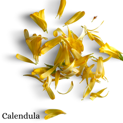 Calendula Dried Flower