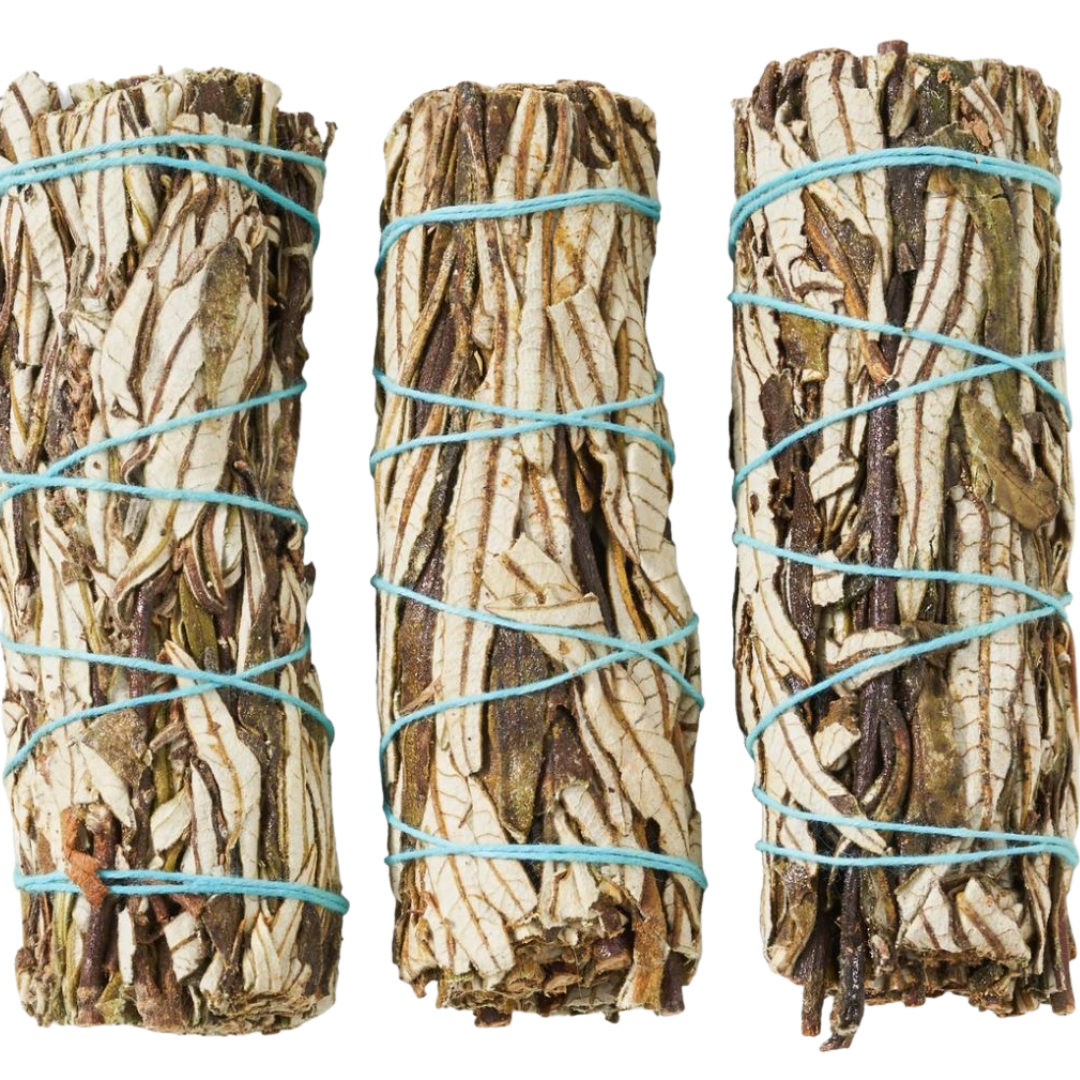 Yerba Santa Smudge Stick - 50 Pack
