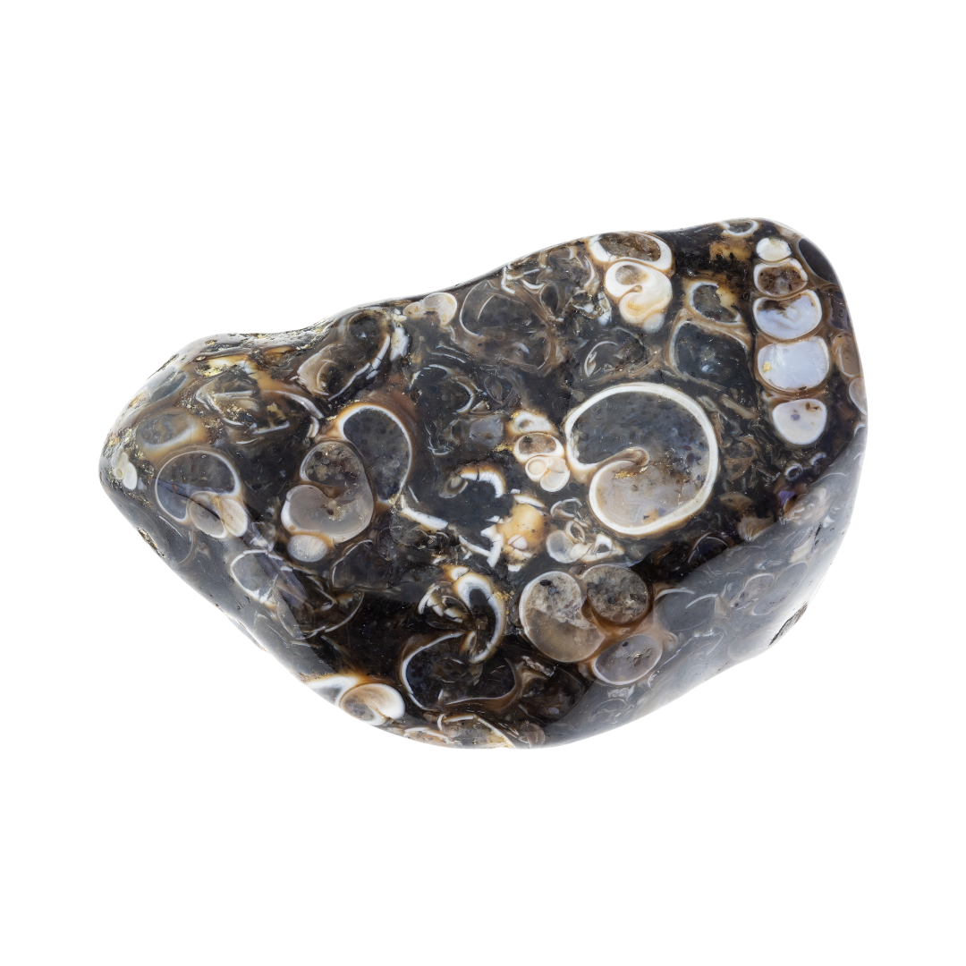 Agate Spotted Polished Tumbled Crystal 