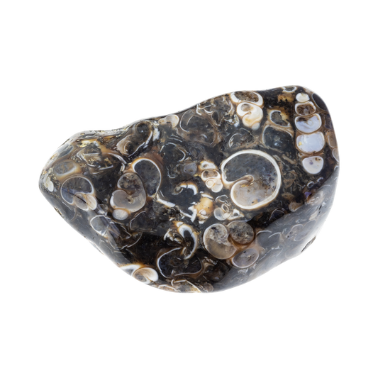 Agate Spotted Polished Tumbled Crystal 